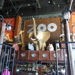 Zoo Bar and Nightclub in Puerto Vallarta