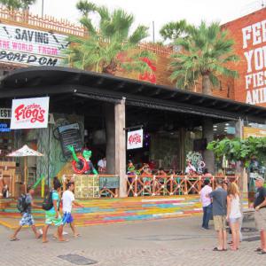 Señor Frogs Bar in Puerto Vallarta